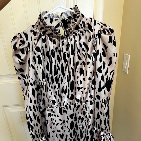 Leopard Dress - Picture 1 of 5